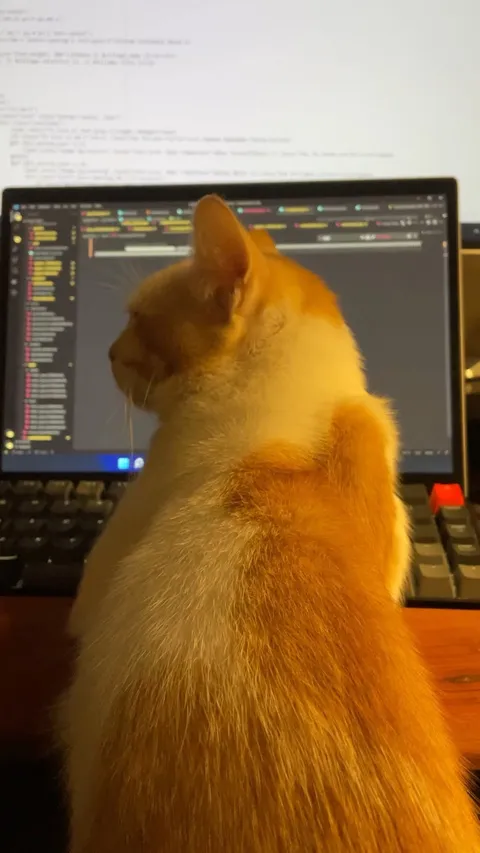 Cat in Tech

#cat #funnycat #catlover #catlife #catsofinstagram