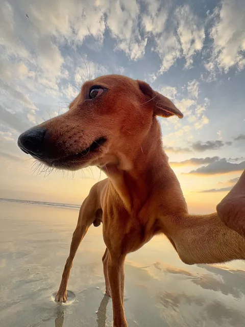 Strike a pose. #ShotoniPhone by

1.Dominic G. @sachin.xavier

2. Akbar M. @akbar_mehrinezhad