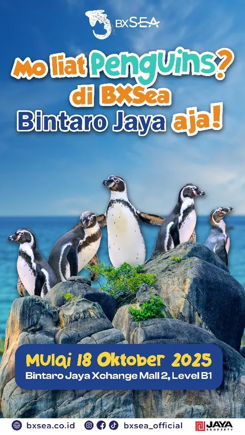✨ Sahabat baru yang ditunggu akhirnya tiba!
Yuk, sambut mereka yang kini hadir di BXSea — Penguin Hu