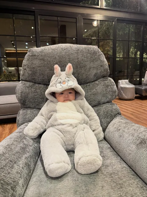 🐰