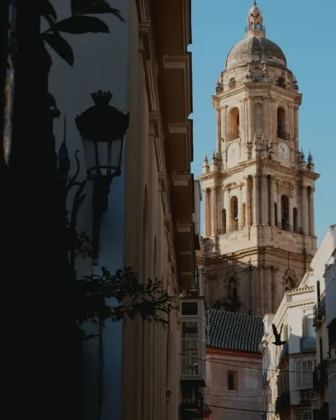 Malaga☀️
Urban details of this city I adore — did you know that the oranges the city is full of are