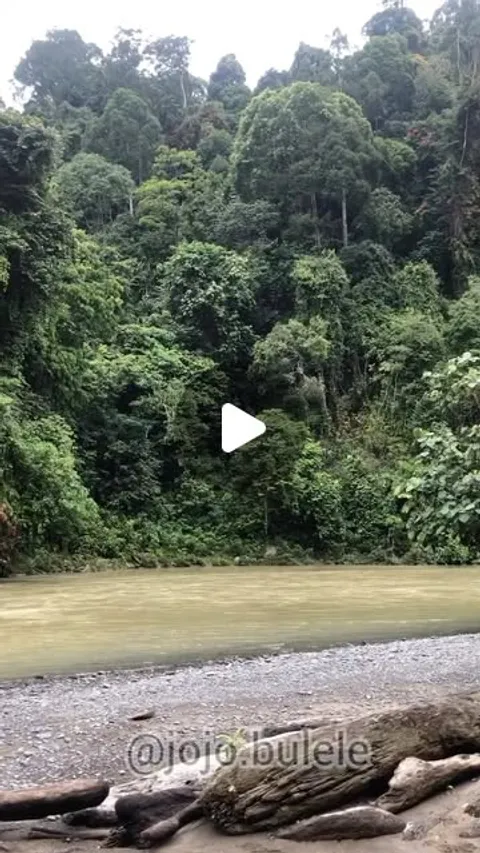 55K likes, 718 comments - jojo.bulele on August 15, 2023: "Sama alam pun ku coba
FOLLOW BIAR KITA BU