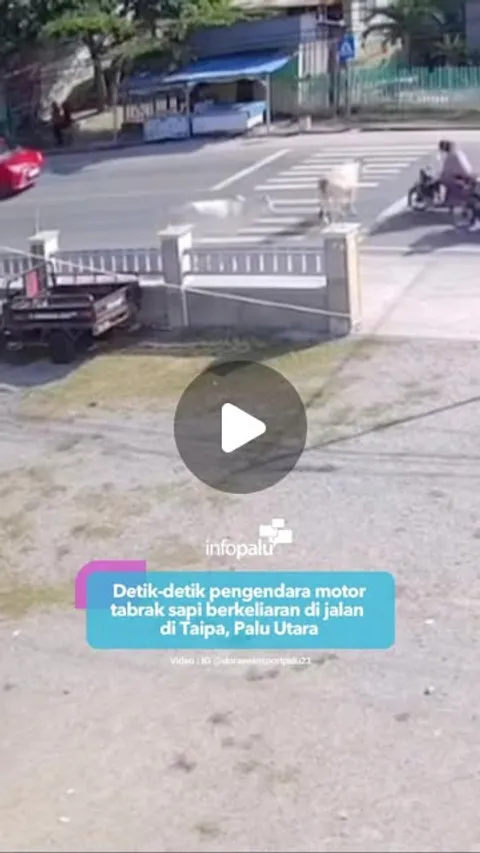 95K likes, 4,275 comments - infopalu on December 18, 2024: "Peristiwa ini terjadi pada Rabu (18/12/2