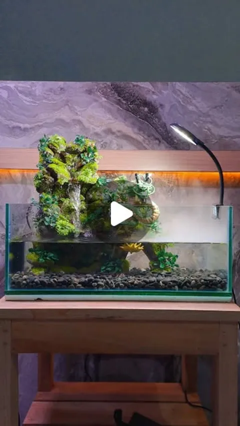 747 likes, 2 comments - hidden_aquatic on March 11, 2026: "paludarium simpel ✨️🐲
#aquascape #aquas