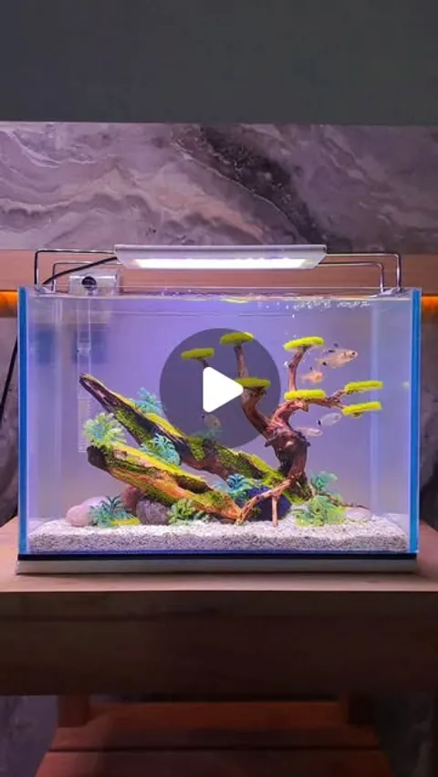 409 likes, 0 comments - hidden_aquatic on April 14, 2026: "aquascape tank 30x15x20 ✨️
#aquascape #a