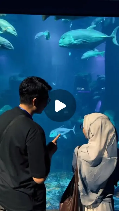 eell.sadhea on April 28, 2026: "🦭ིྀ𖦹°·𓇼
#fypreels #aquariumdate #seaworldancol".