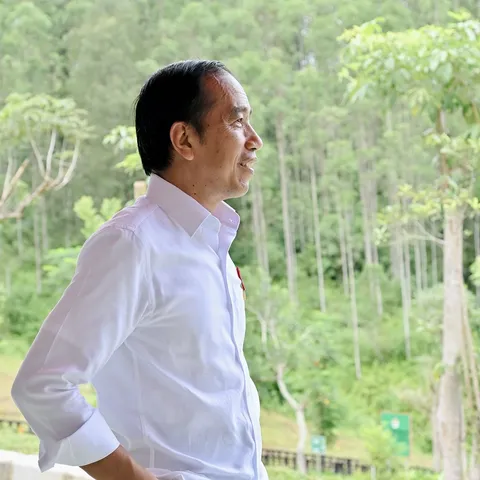 jokowi profile