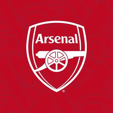 arsenal profile