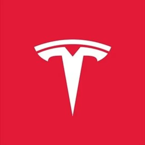 teslamotors profile