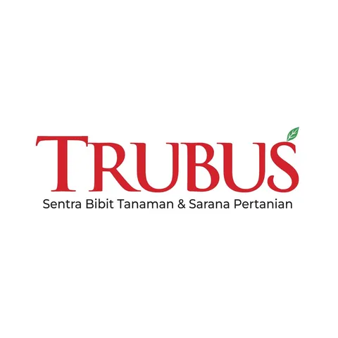 tokotrubusofficial profile