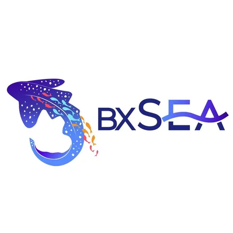 bxsea_official profile